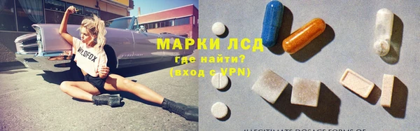 индика Аркадак