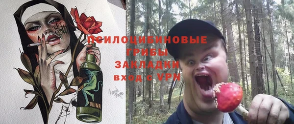 эйфоретик Арсеньев