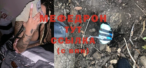 индика Аркадак