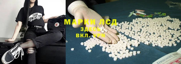 индика Аркадак