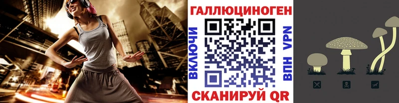 мориарти наркотические препараты  Адыгейск  Галлюциногенные грибы Psilocybine cubensis  ОМГ ОМГ ТОР 