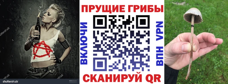 Псилоцибиновые грибы Psilocybine cubensis Адыгейск